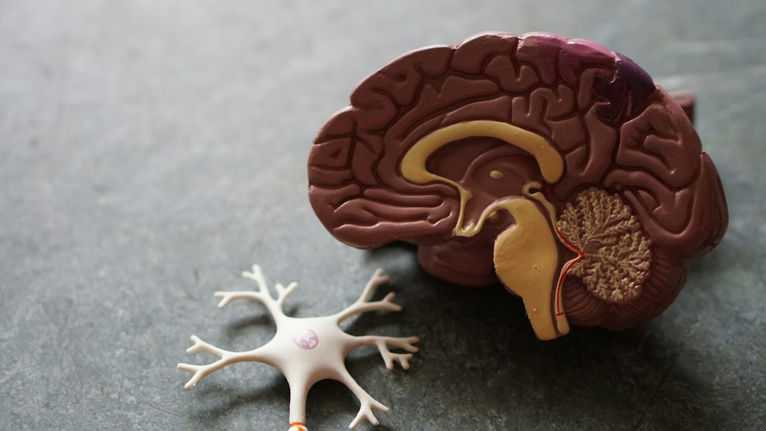 Acetylcholine Deficiency Symptoms: How Low Levels Affect Memory and Focus